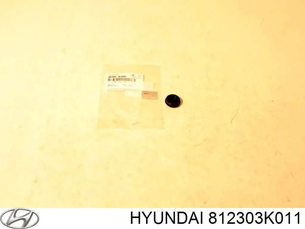 Замок двери багажника Hyundai/Kia 812303K011 цена, от 17.12 USD