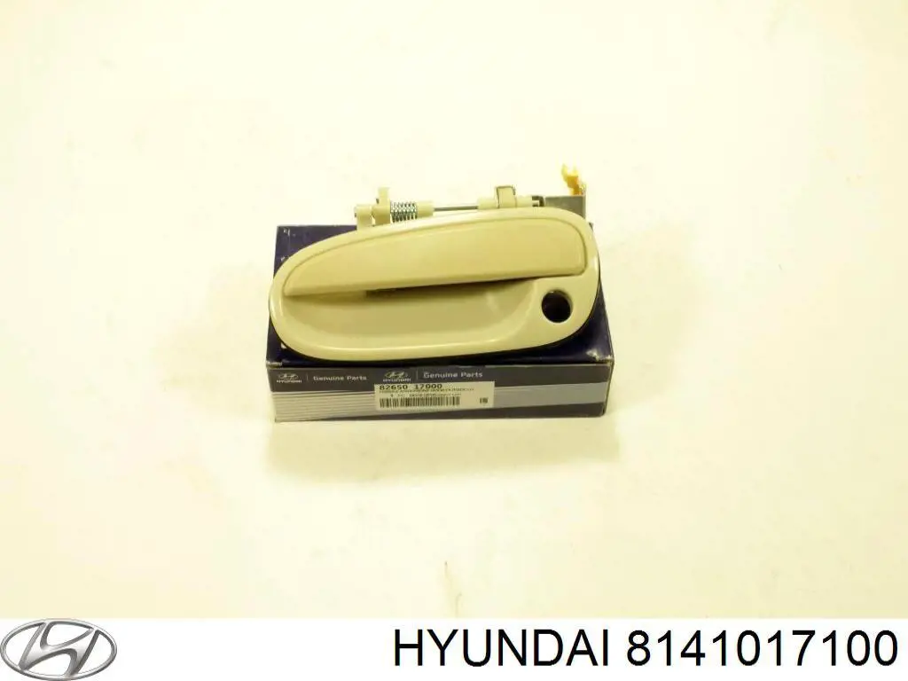 8141017100 Hyundai/Kia fecho da porta traseira esquerda