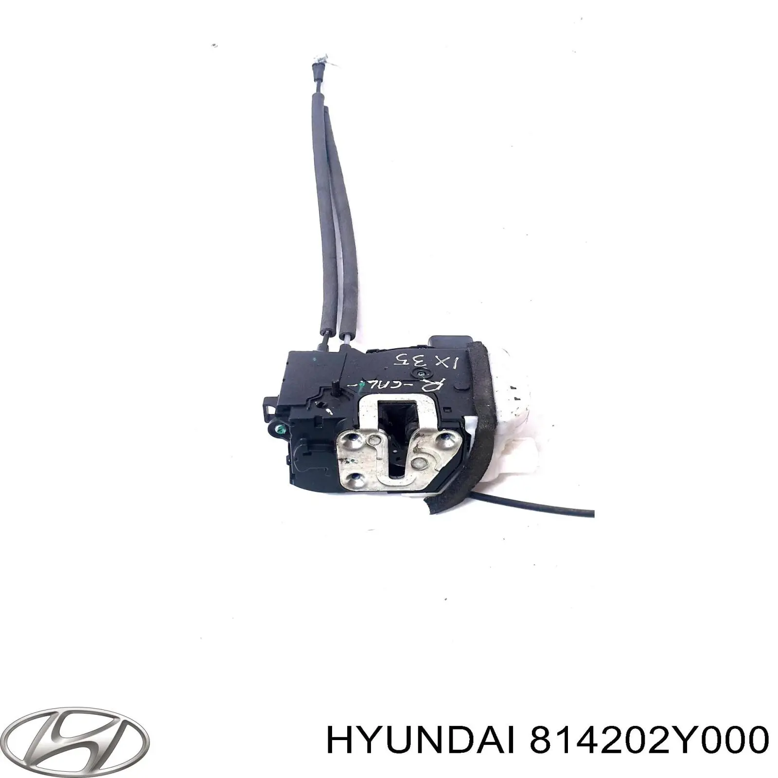  814202Y000 Hyundai/Kia