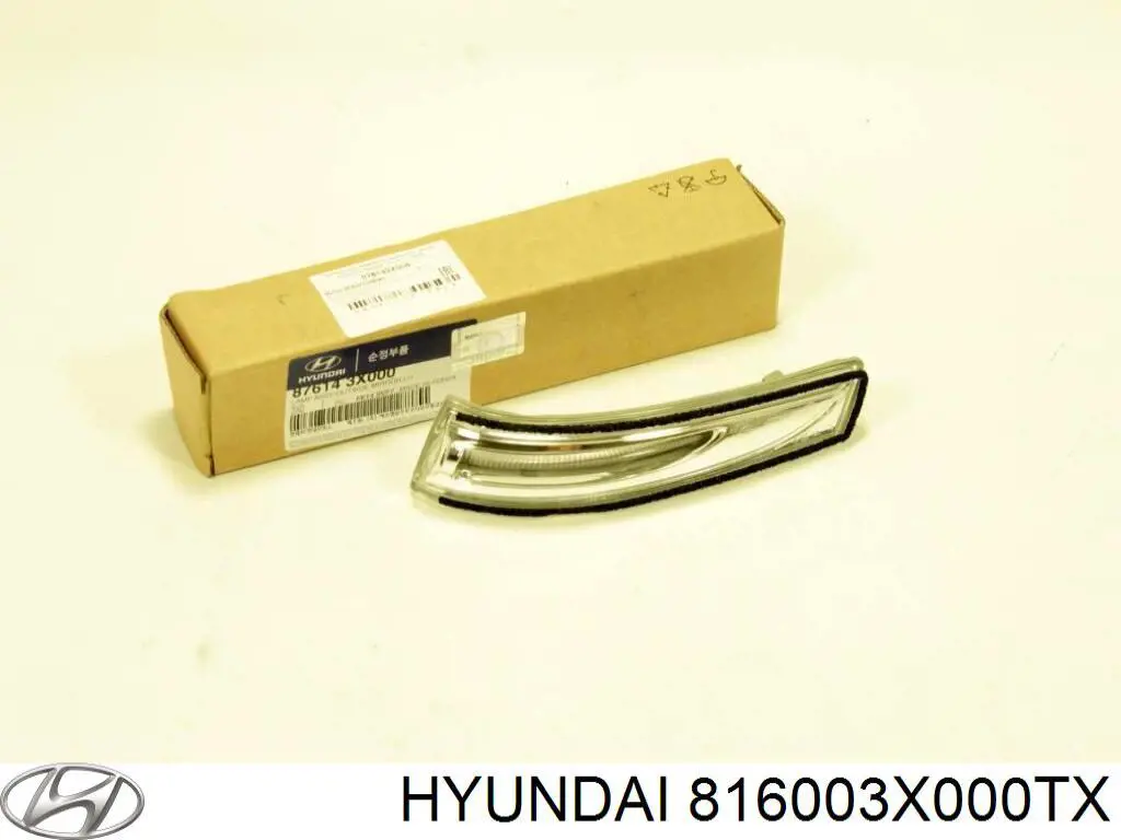 Люк в сборе Hyundai/Kia 816003X000TX