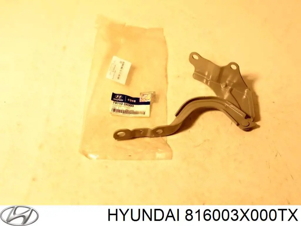 816003X000TX Hyundai/Kia Люк в сборе