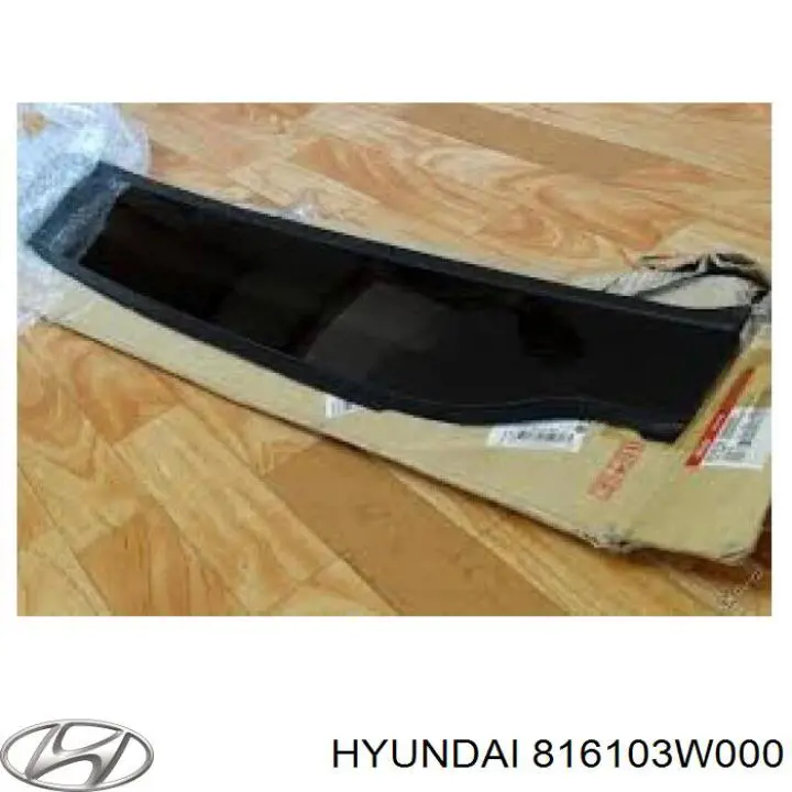 Крышка люка крыши передняя Hyundai/Kia 816103W000 цена, от 154.24 USD