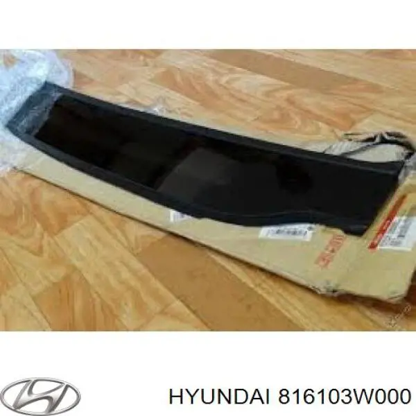  816103W000 Hyundai/Kia