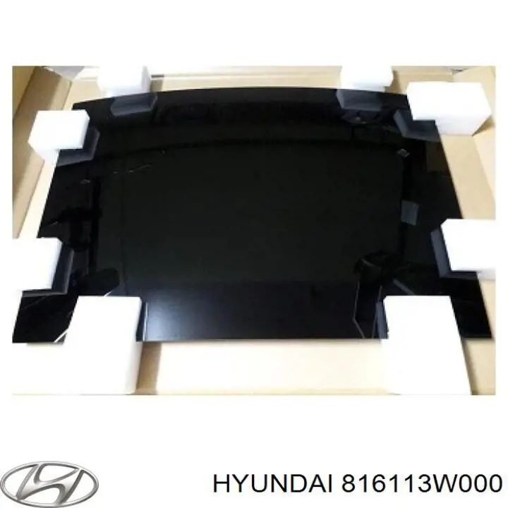 Купить 816113W000 Hyundai/Kia Крышка люка крыши