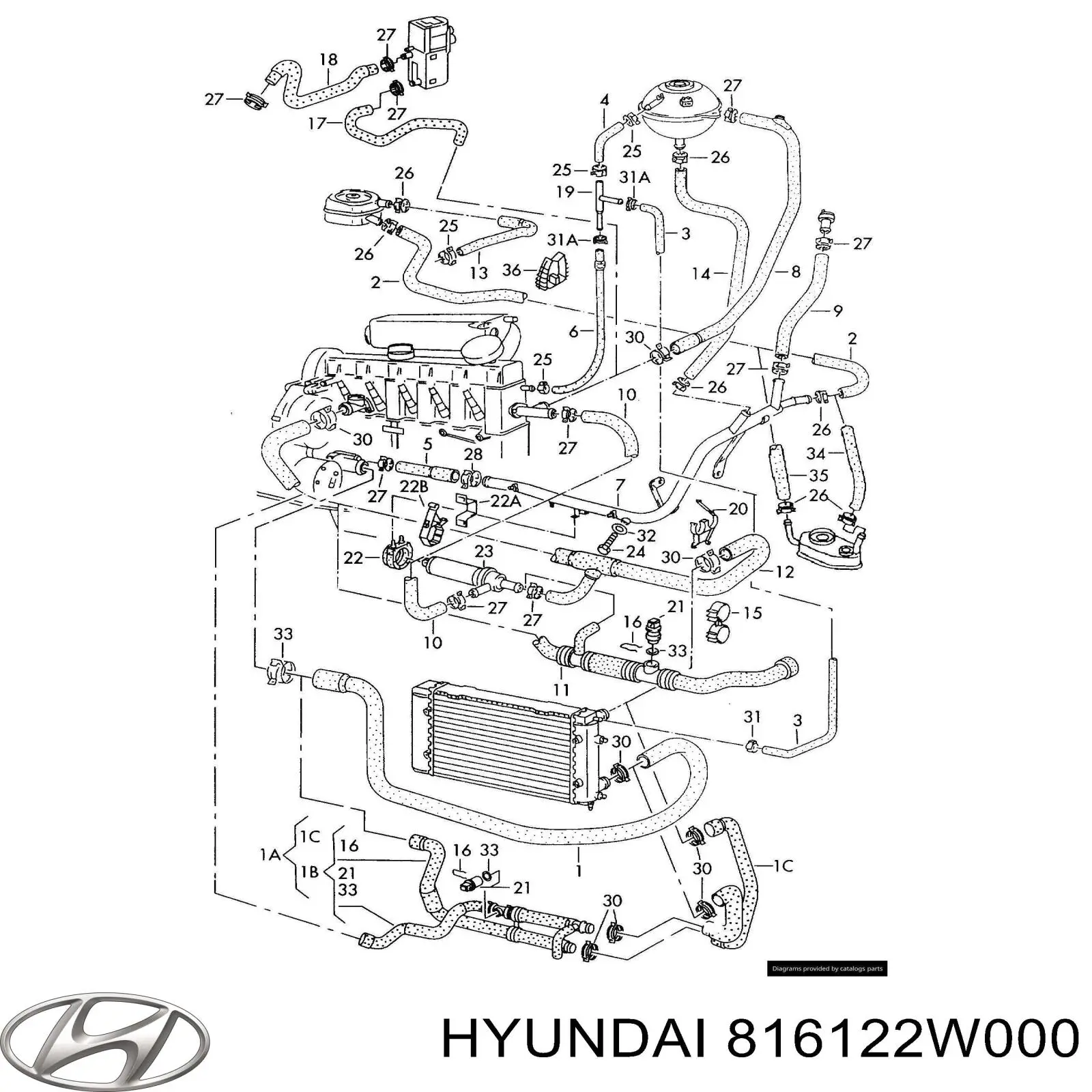 816122W000 Hyundai/Kia крышка люка крыши задняя