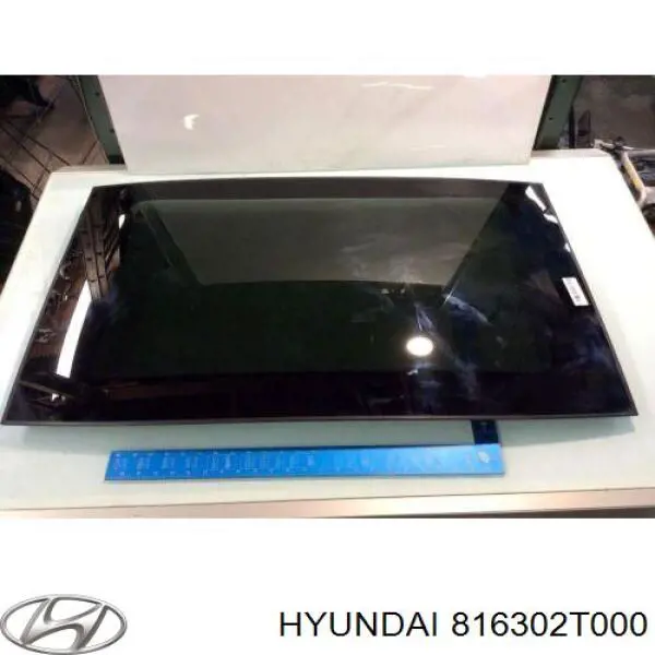  816302T000 Hyundai/Kia