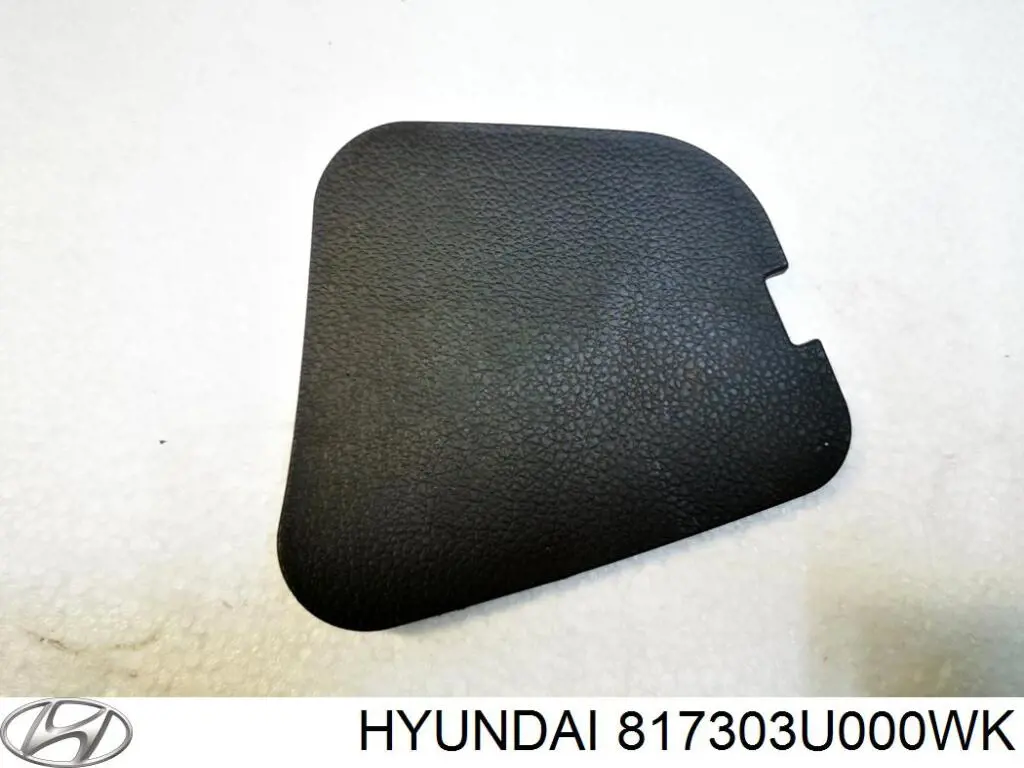  Hyundai/Kia 817303U000WK