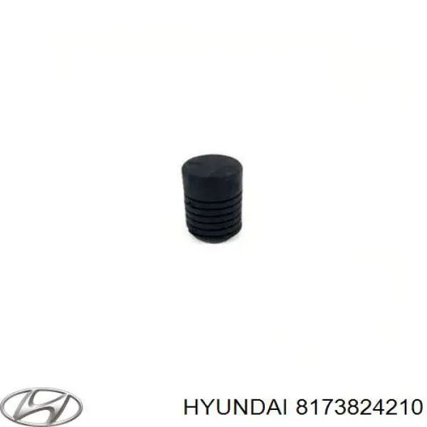  8173824210 Hyundai/Kia