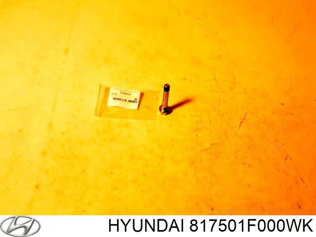 817501F000WK Hyundai/Kia 