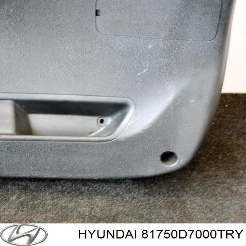 Обшивка-облицовка крышки багажника Hyundai/Kia 81750D7000TRY цена, от 182.71 USD