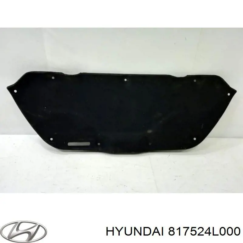  817524L000 Hyundai/Kia