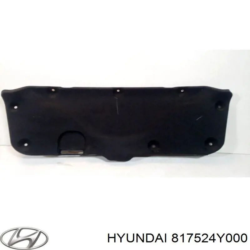 817524Y000 Hyundai/Kia 