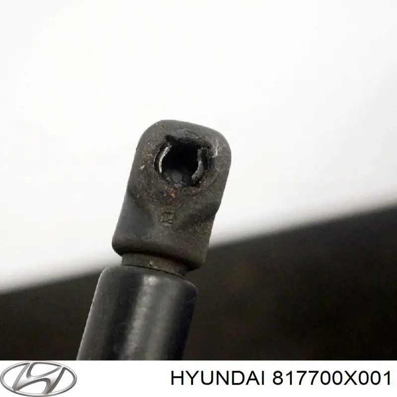 Амортизатор задней двери Hyundai/Kia 817700X001 цена, от 9.38 USD