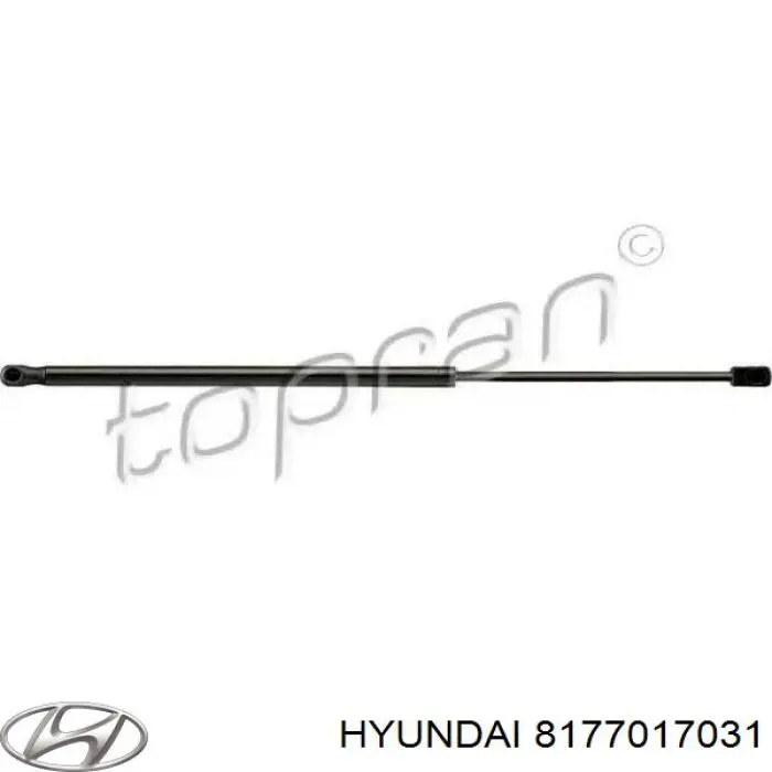 Амортизатор задней двери Hyundai/Kia 8177017031 цена, от 12.23 USD