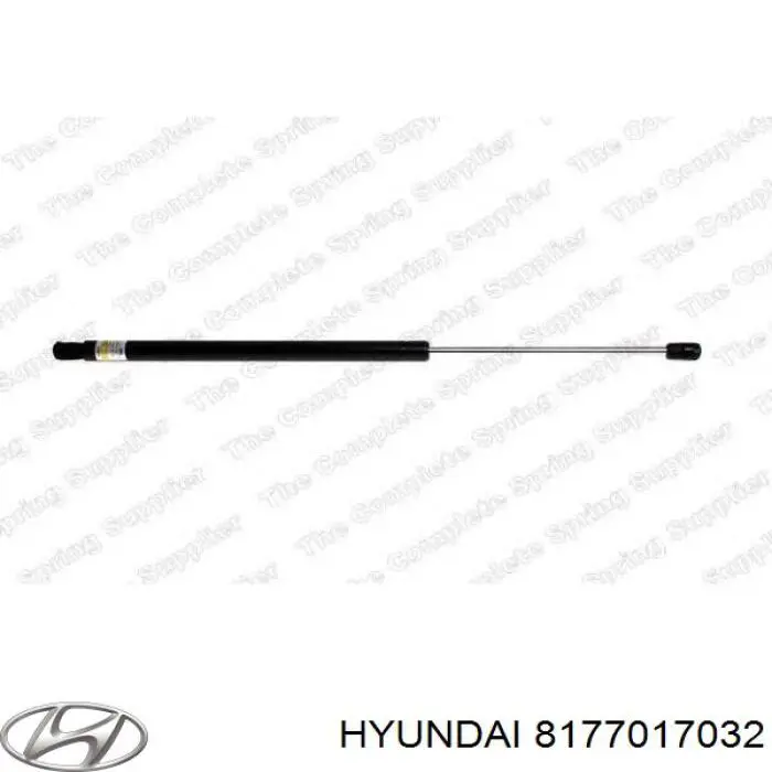 8177017032 Hyundai/Kia 