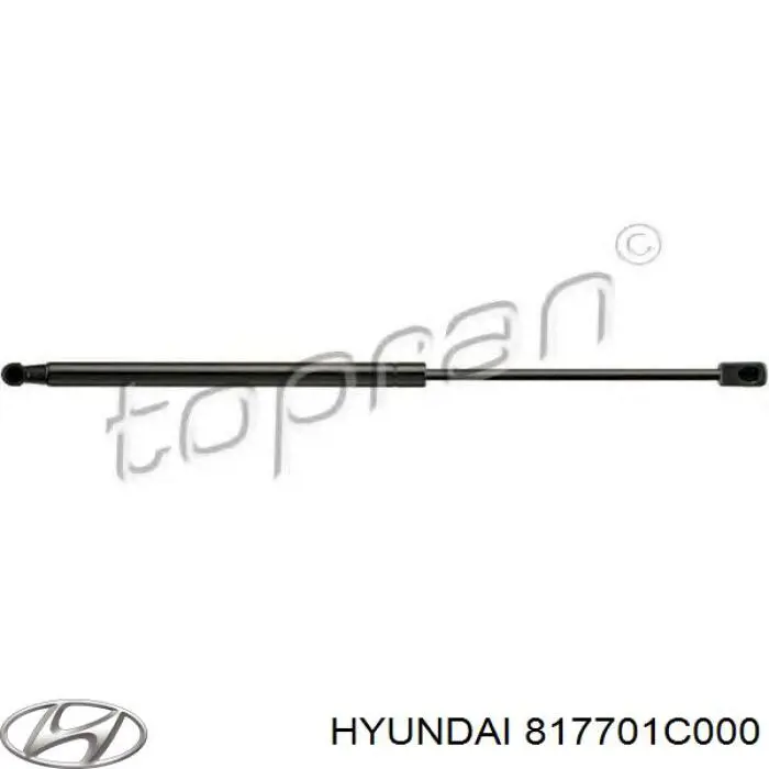 Амортизатор задней двери Hyundai/Kia 817701C000 цена, от 7.70 USD