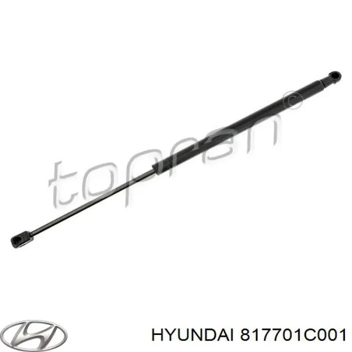 Амортизатор багажника 817701C001 Hyundai/Kia