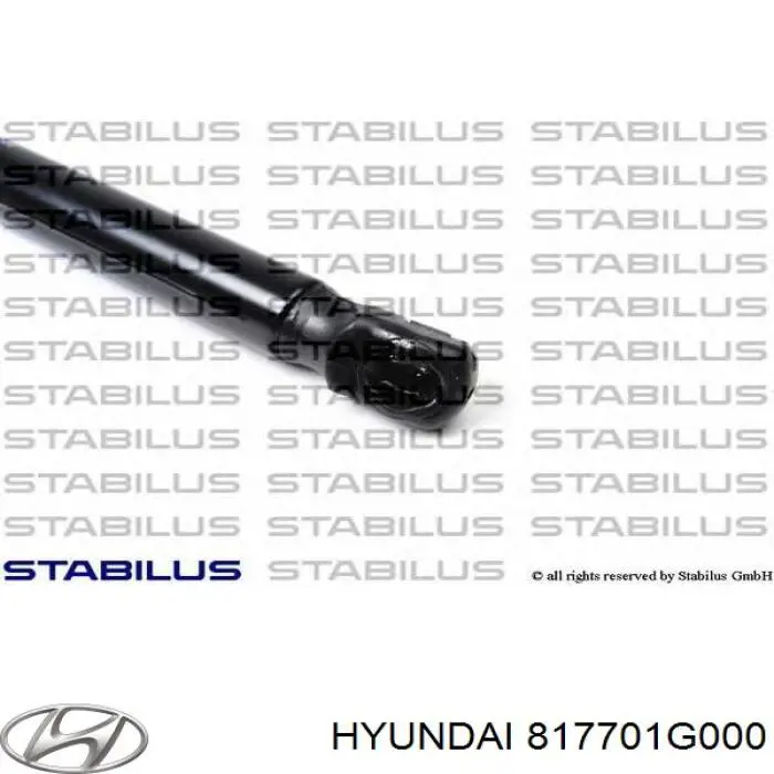 Амортизатор задней двери Starline 7819800 цена, от 8.43 USD