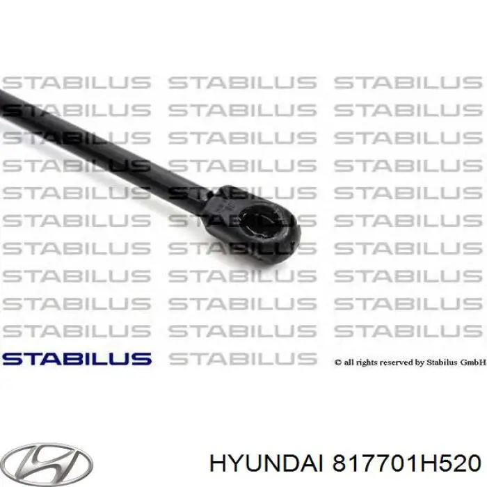 Амортизатор задней двери Hyundai/Kia 817701H520 цена, от 6.29 USD