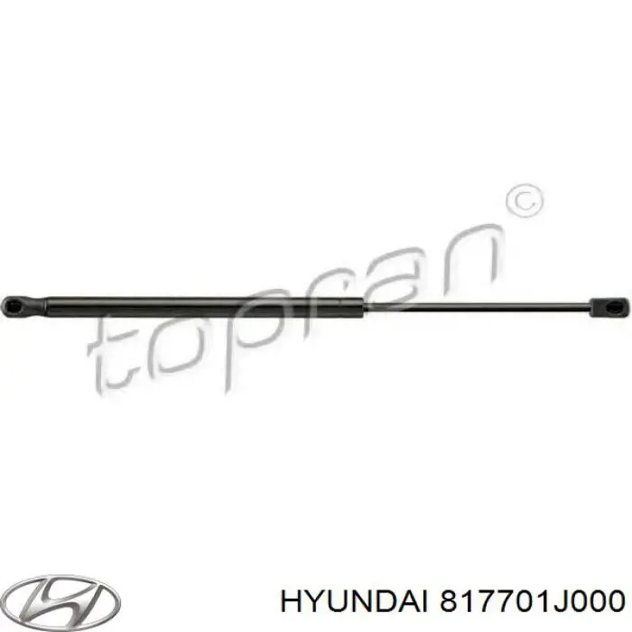 Амортизатор задней двери Hyundai/Kia 817701J000 цена, от 8.52 USD