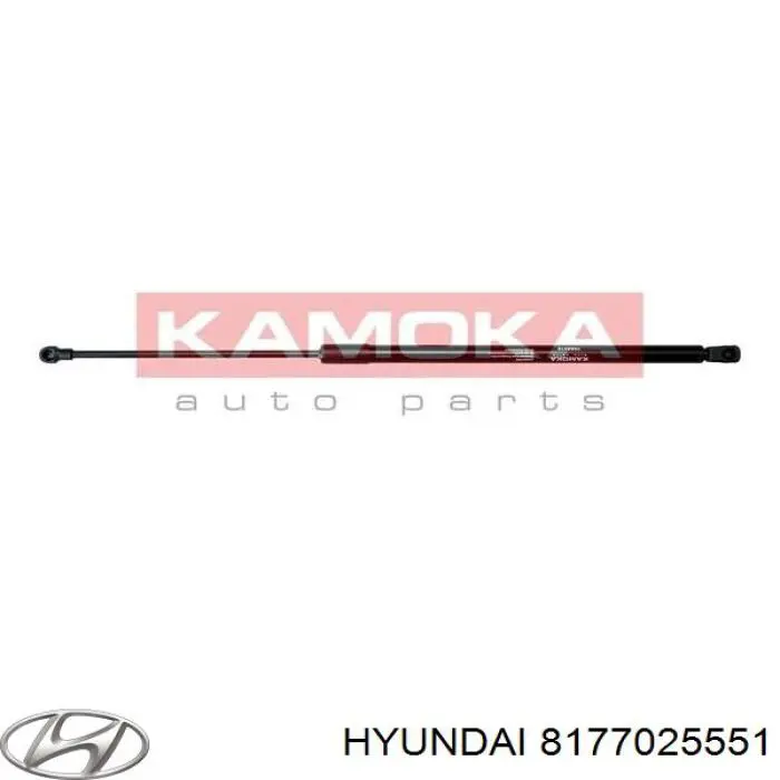 Амортизатор багажника 8177025551 Hyundai/Kia