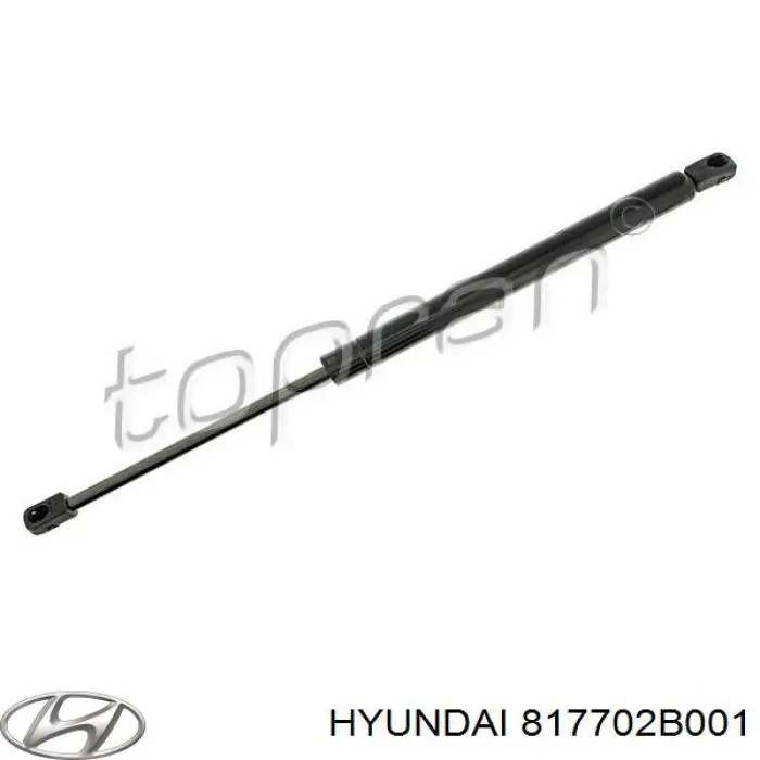 817702B001 Hyundai/Kia amortecedor de tampa de porta-malas (de 3ª/5ª porta traseira)