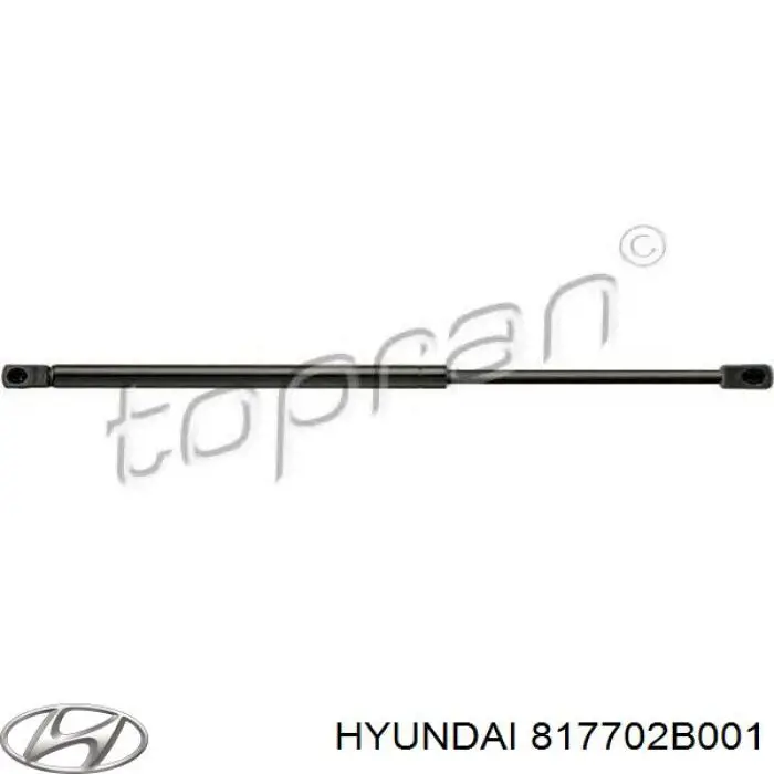 Купить 817702B001 Hyundai/Kia Амортизатор двери багажника