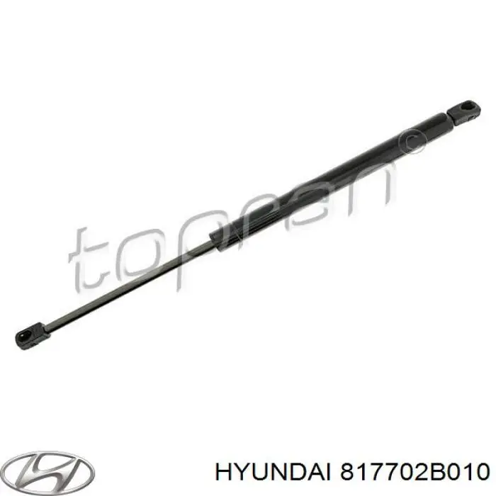  817702B010 Hyundai/Kia