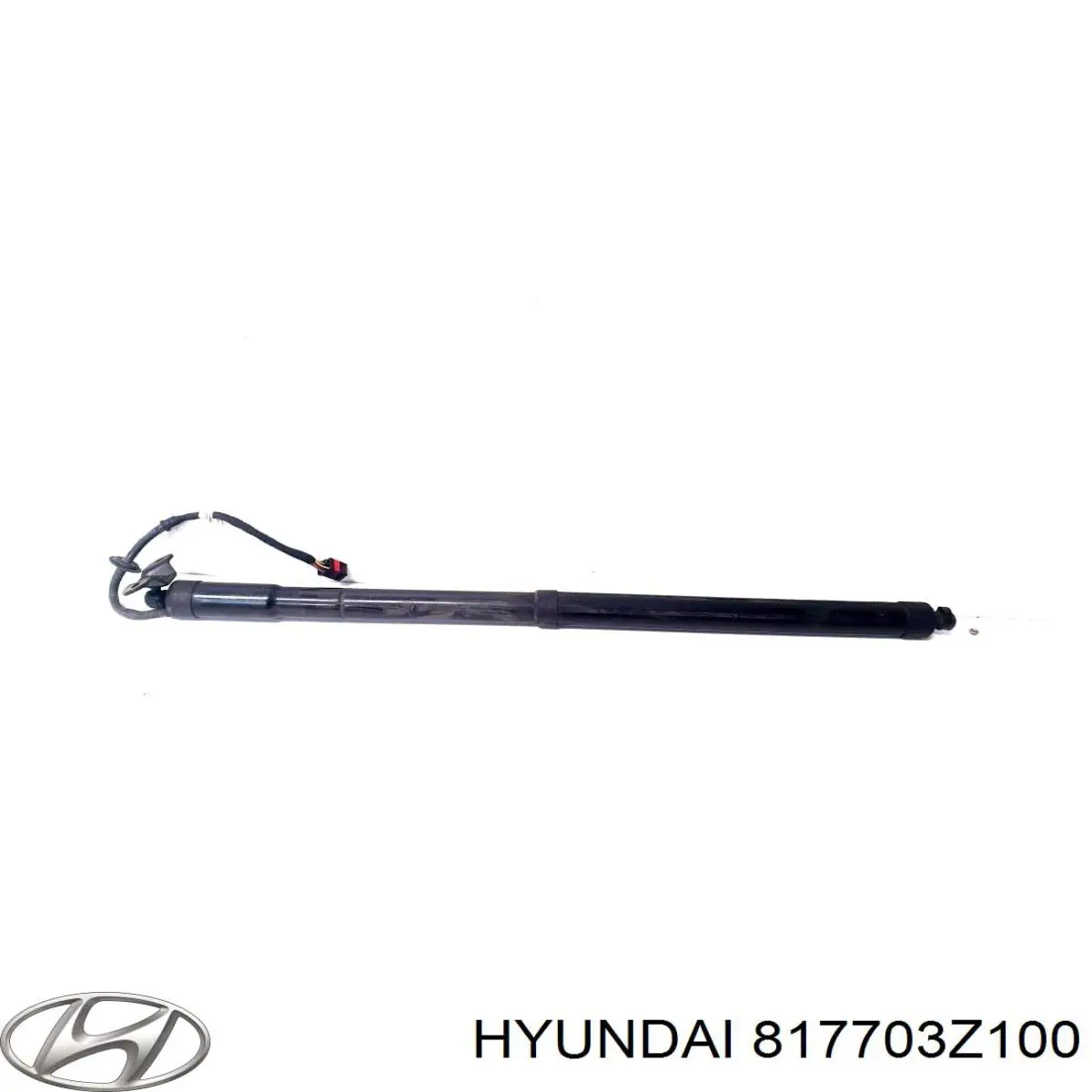  817703Z100 Hyundai/Kia