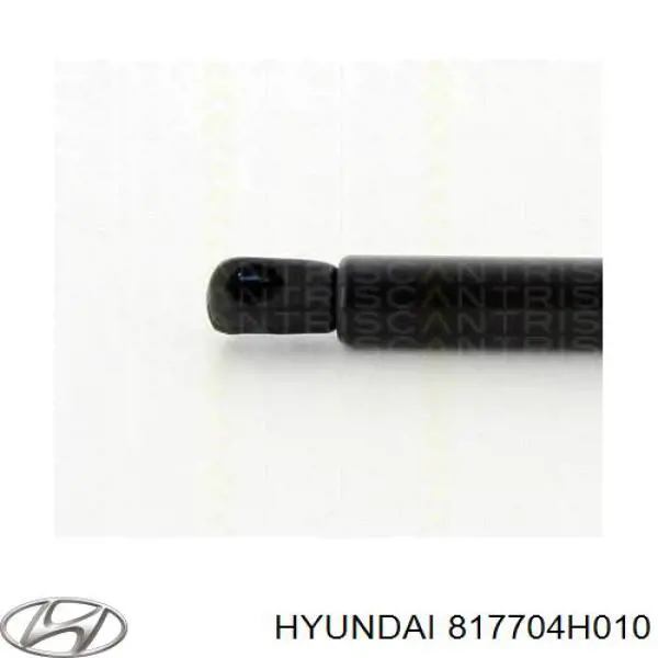 817704H010 Hyundai/Kia amortecedor de tampa de porta-malas (de 3ª/5ª porta traseira)