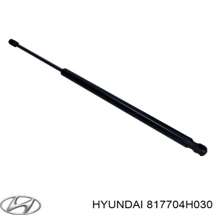 Амортизатор задней двери Stabilus 172352 цена, от 20.99 USD