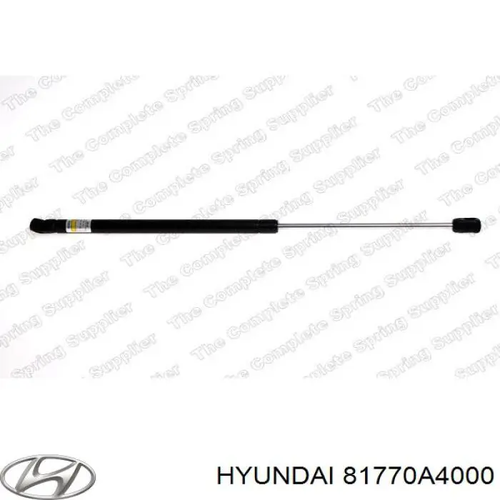 81770A4000 Hyundai/Kia amortecedor de tampa de porta-malas (de 3ª/5ª porta traseira)