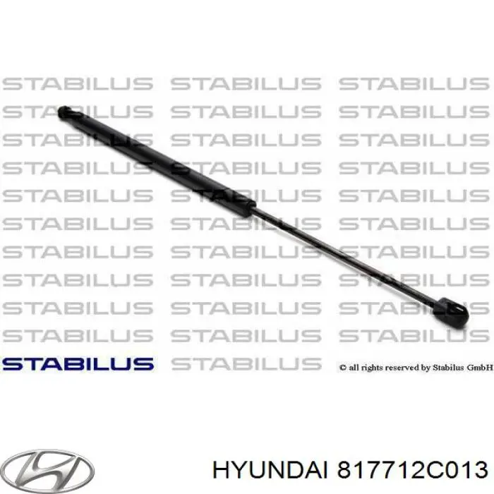 Амортизатор задней двери Hyundai/Kia 817712C013 цена, от 42.03 USD