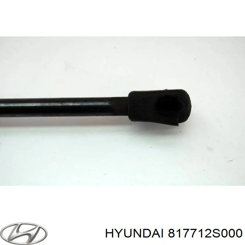 Амортизатор задней двери NTY AEHY039 цена, от 4.32 USD
