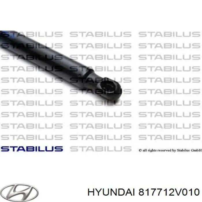 Амортизатор задней двери NTY AEHY062 цена, от 10.68 USD