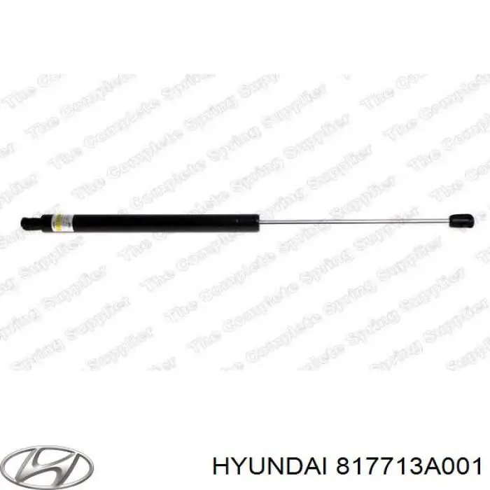 Амортизатор задней двери Hyundai/Kia 817713A001 цена, от 9.01 USD