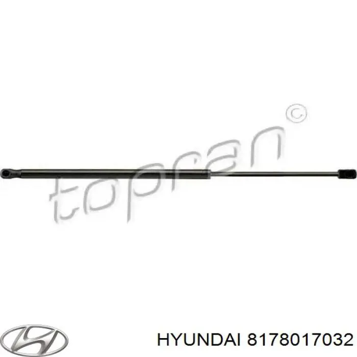 8178017032 Hyundai/Kia 