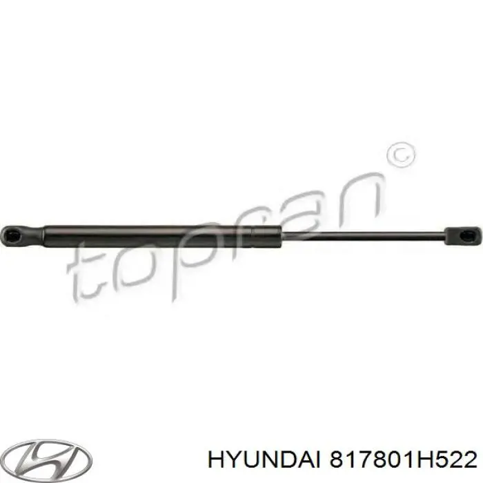 817801H522 Hyundai/Kia