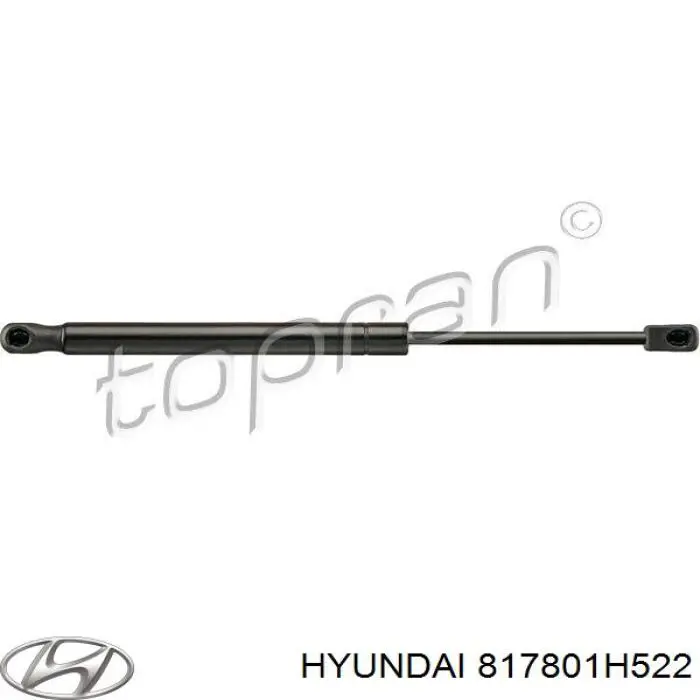 Амортизатор задней двери Hyundai/Kia 817801H522 цена, от 6.04 USD