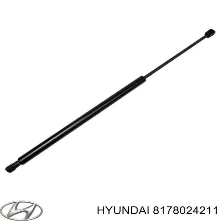  8178024211 Hyundai/Kia