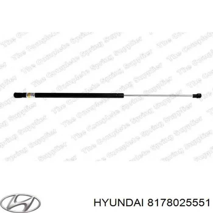  8178025551 Hyundai/Kia