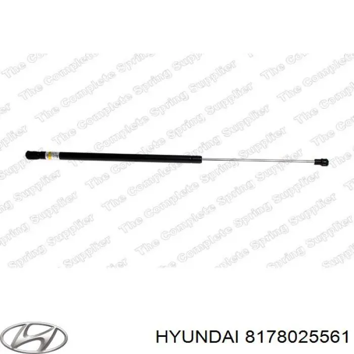  8178025561 Hyundai/Kia