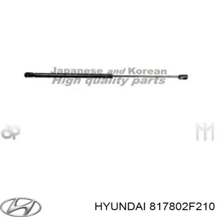 Амортизатор задней двери Hyundai/Kia 817802F210 цена, от 10.59 USD