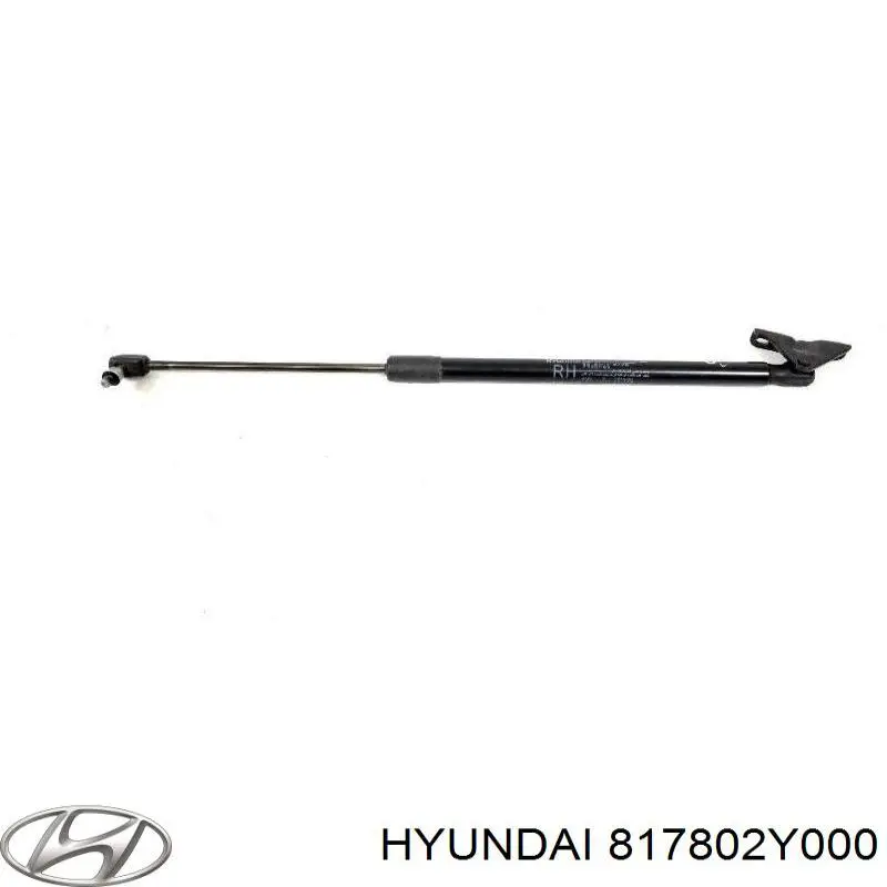 817802Y000 Hyundai/Kia amortecedor de tampa de porta-malas (de 3ª/5ª porta traseira)