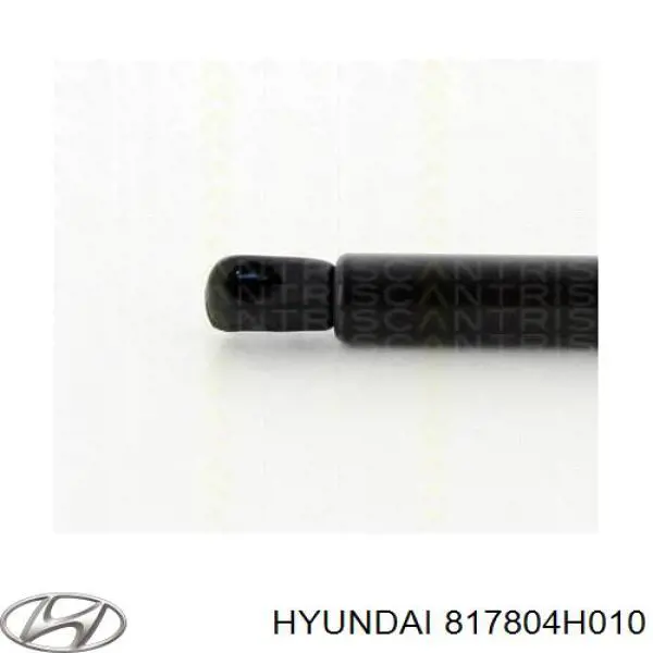 817804H010 Hyundai/Kia amortecedor de tampa de porta-malas (de 3ª/5ª porta traseira)