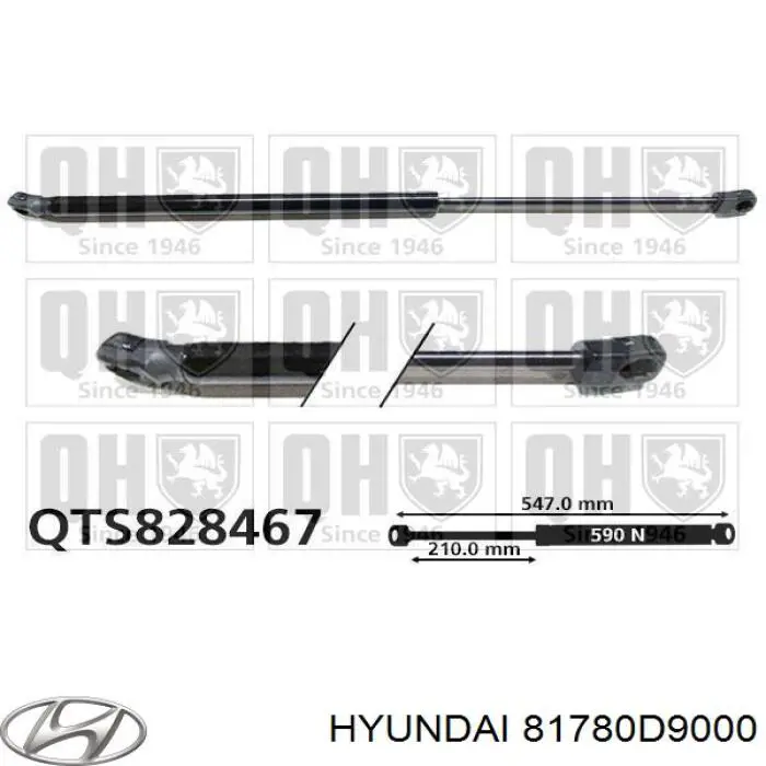 81780D9000 Hyundai/Kia amortecedor de tampa de porta-malas (de 3ª/5ª porta traseira)