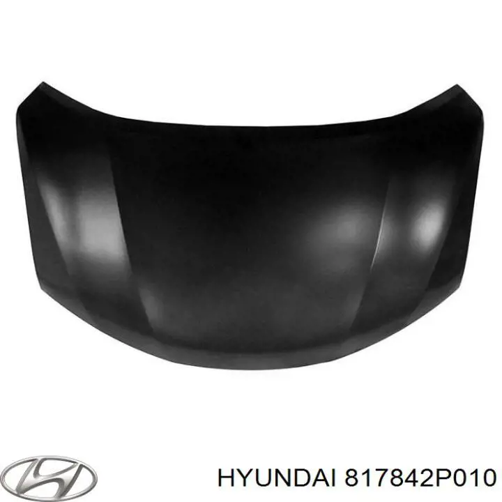 817842P010 Hyundai/Kia 