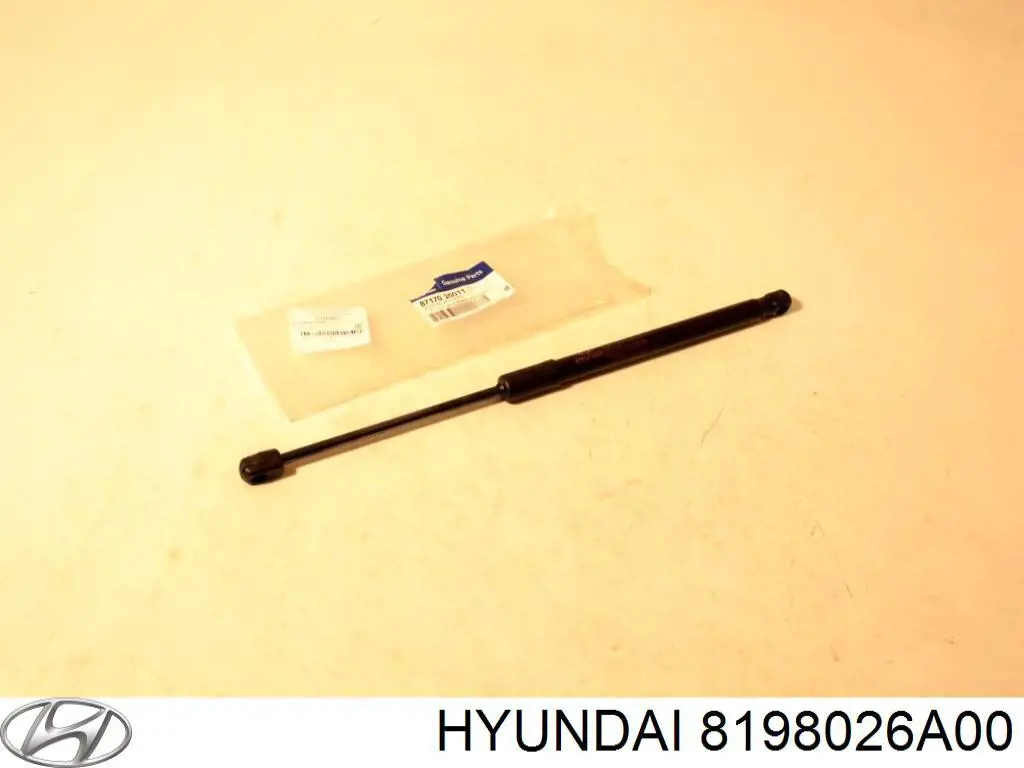 Личинка замка двери передней правой Hyundai/Kia 8198026A00 цена, от 33.90 USD