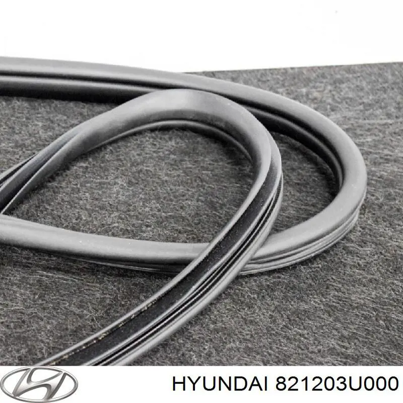 821203U000 Hyundai/Kia 