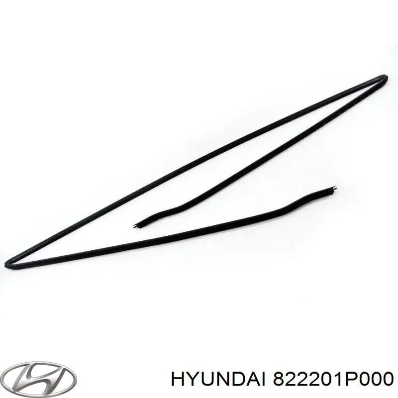 822201P000 Hyundai/Kia